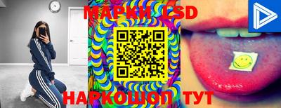 MDMA Premium VHQ Камышлов