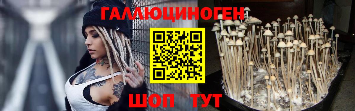 Галлюциногенные грибы GOLDEN TEACHER  Вход с VPN  Псилоцибиновые грибы Cubensis  Котельники 